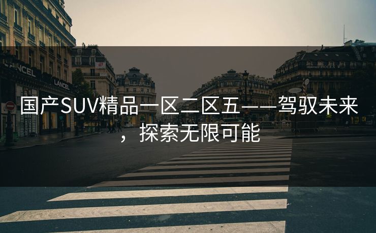 国产SUV精品一区二区五——驾驭未来，探索无限可能