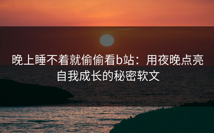 晚上睡不着就偷偷看b站：用夜晚点亮自我成长的秘密软文